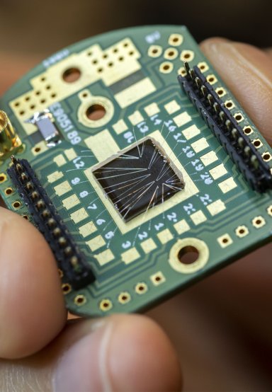 chip en hand